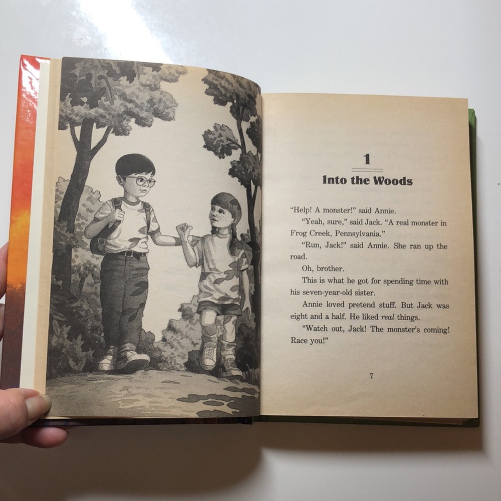 Magic Tree House - Collection # 1 - Picture 9 of 15